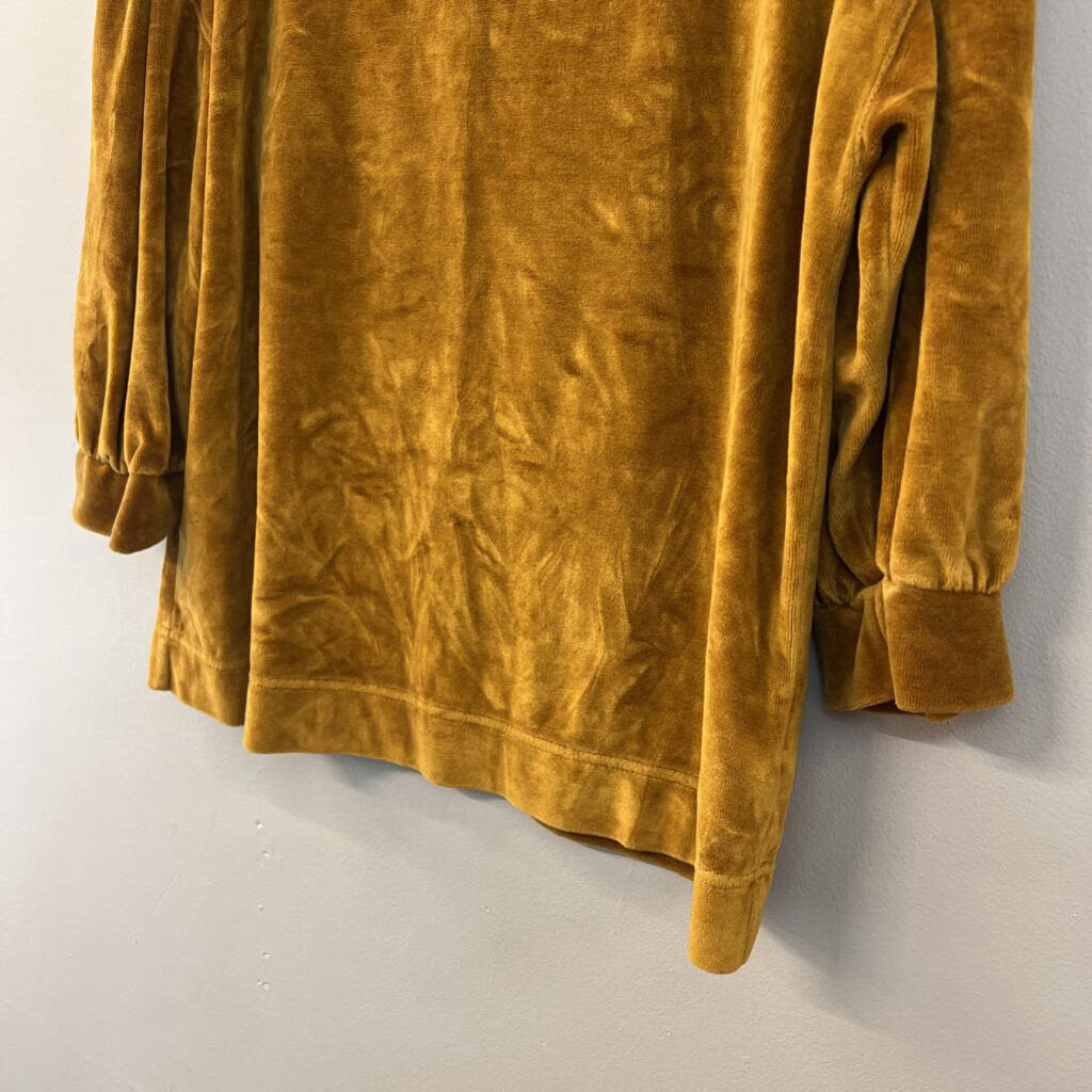 Garnet Hill Gold Velvet Long Sleeve Top Small