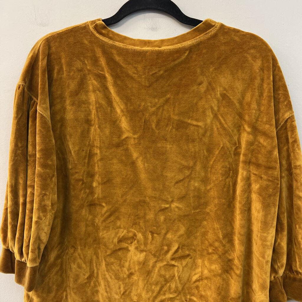 Garnet Hill Gold Velvet Long Sleeve Top Small
