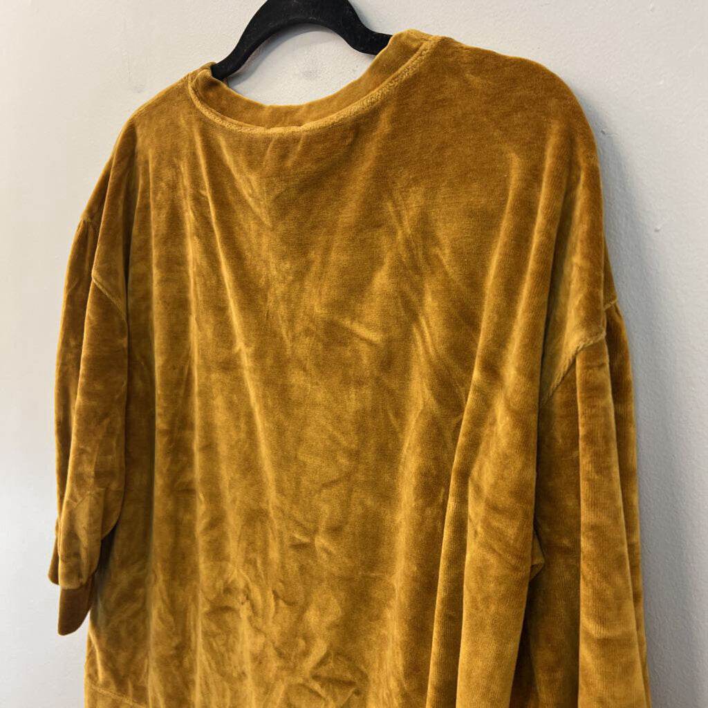 Garnet Hill Gold Velvet Long Sleeve Top Small