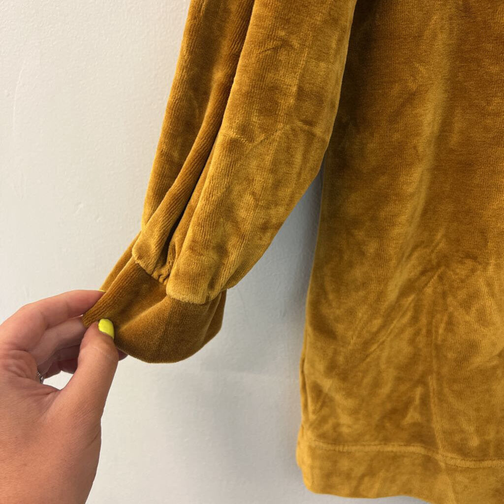 Garnet Hill Gold Velvet Long Sleeve Top Small
