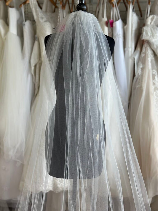 Ivory Lace Edge Sparkle Cathedral Length Veil