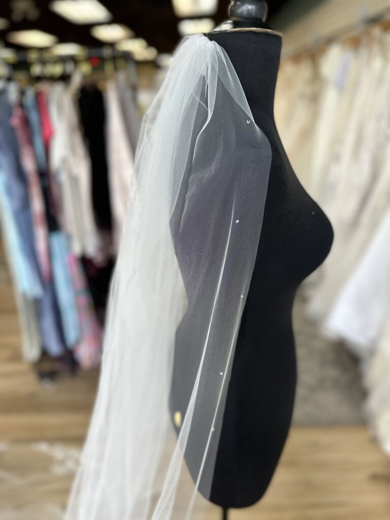 Ivory Lace Edge Sparkle Cathedral Length Veil