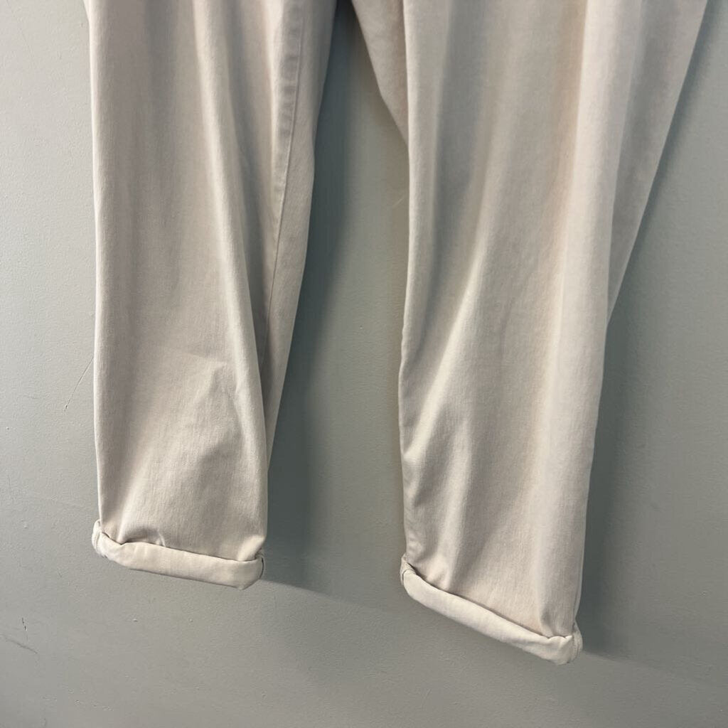 J Jill Cream Straight Leg Pull On Pants 2X