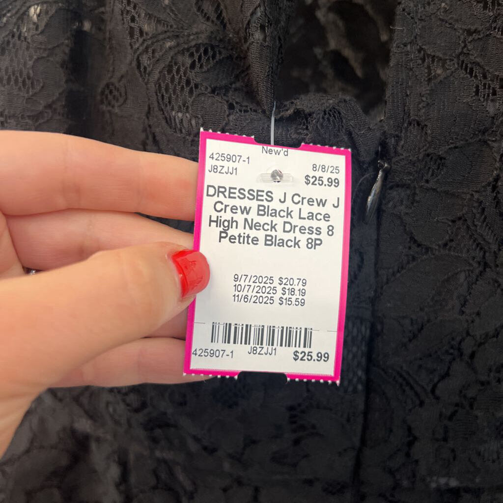 J Crew Black Lace High Neck Dress 8 Petite