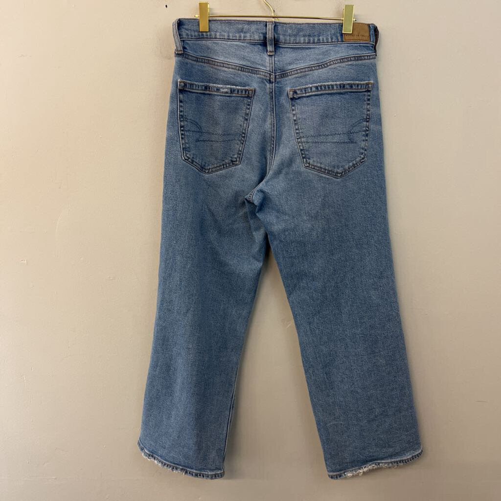 American Eagle Light Wash Wide Leg Mom Jeans 6 Short