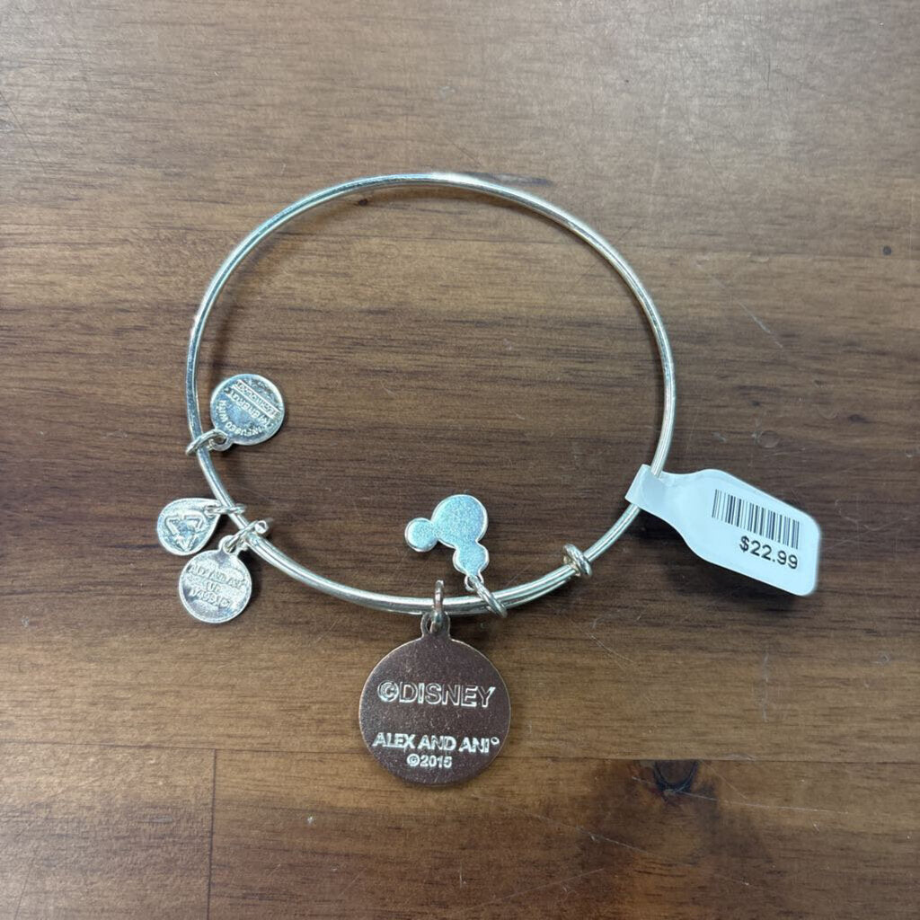 Alex and Ani Silver Believing Is Just The Beginning Charm Bangle Bracelet