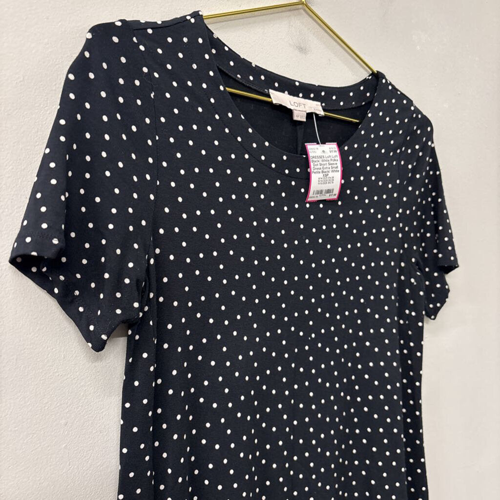 Loft Black/ White Polka Dot Short Sleeve Dress Extra Small Petite