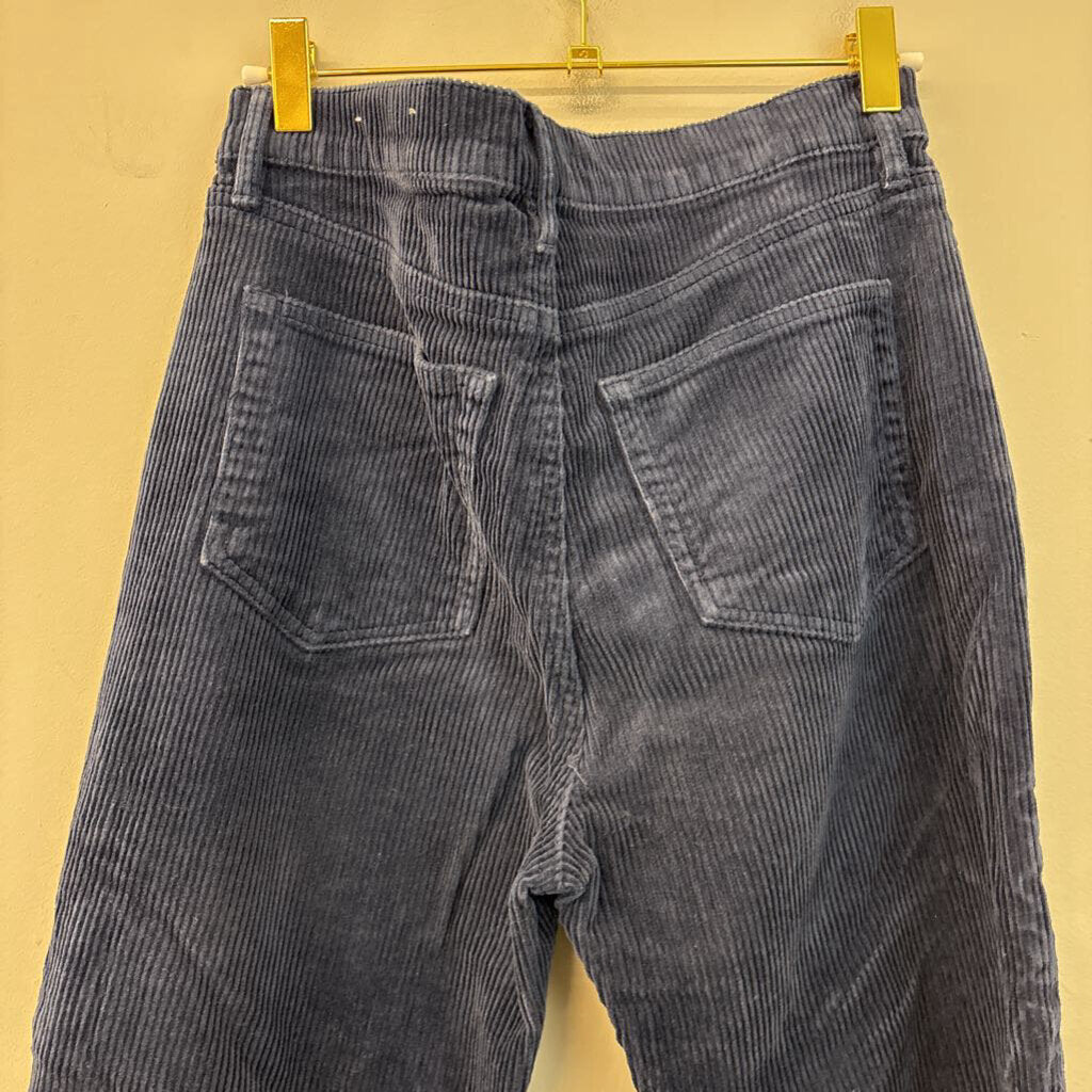 Loft Navy Blue Corduroy Pants 4