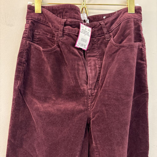 Loft Slim Velvet Flare Pants 2
