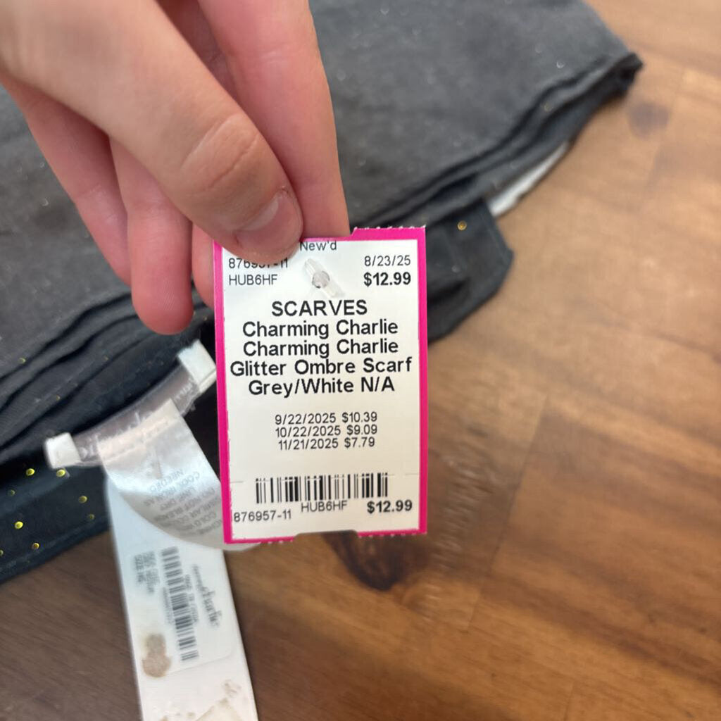 Charming Charlie Glitter Ombre Scarf