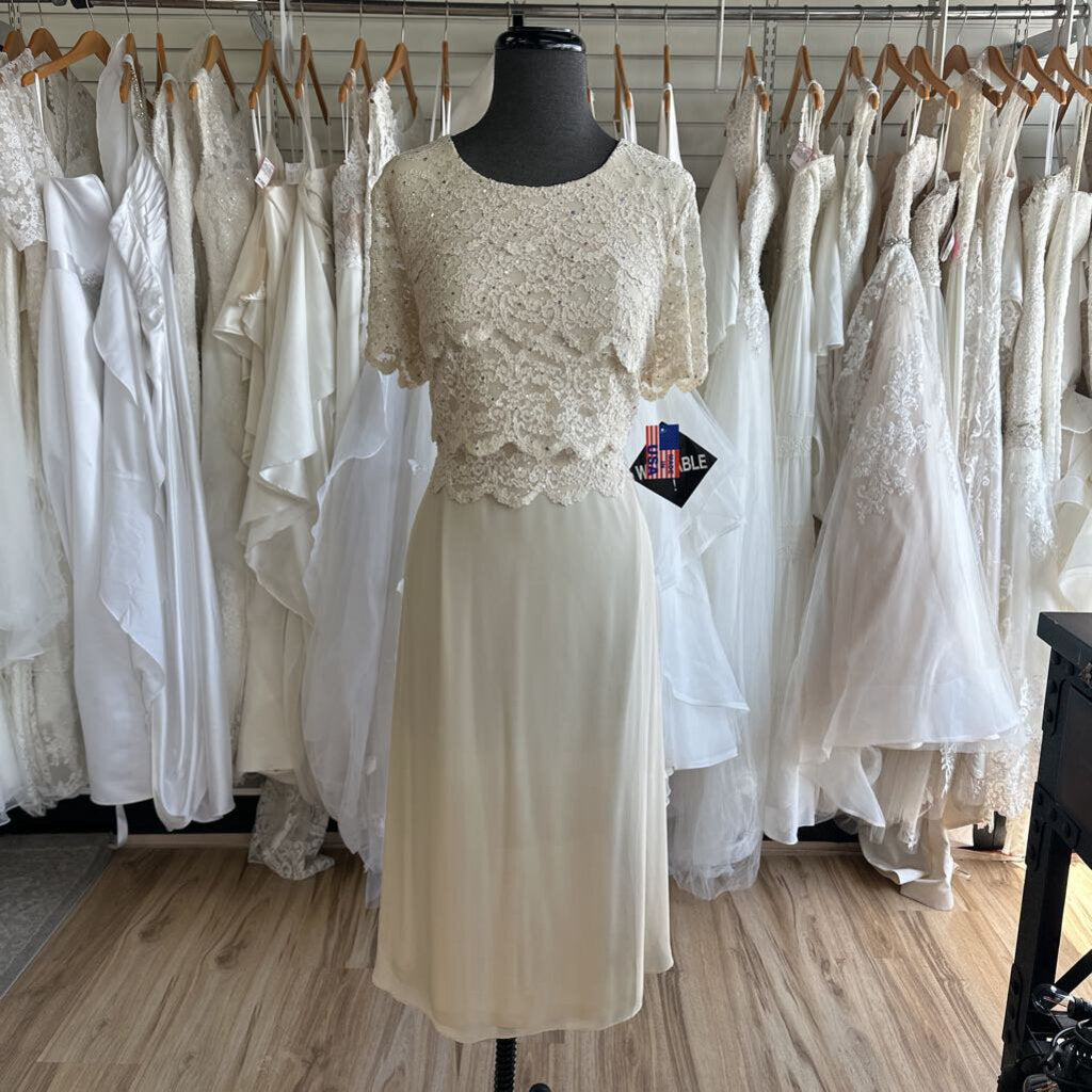 R&M Richards Short Sleeve Sparkle Lace Dress 14P