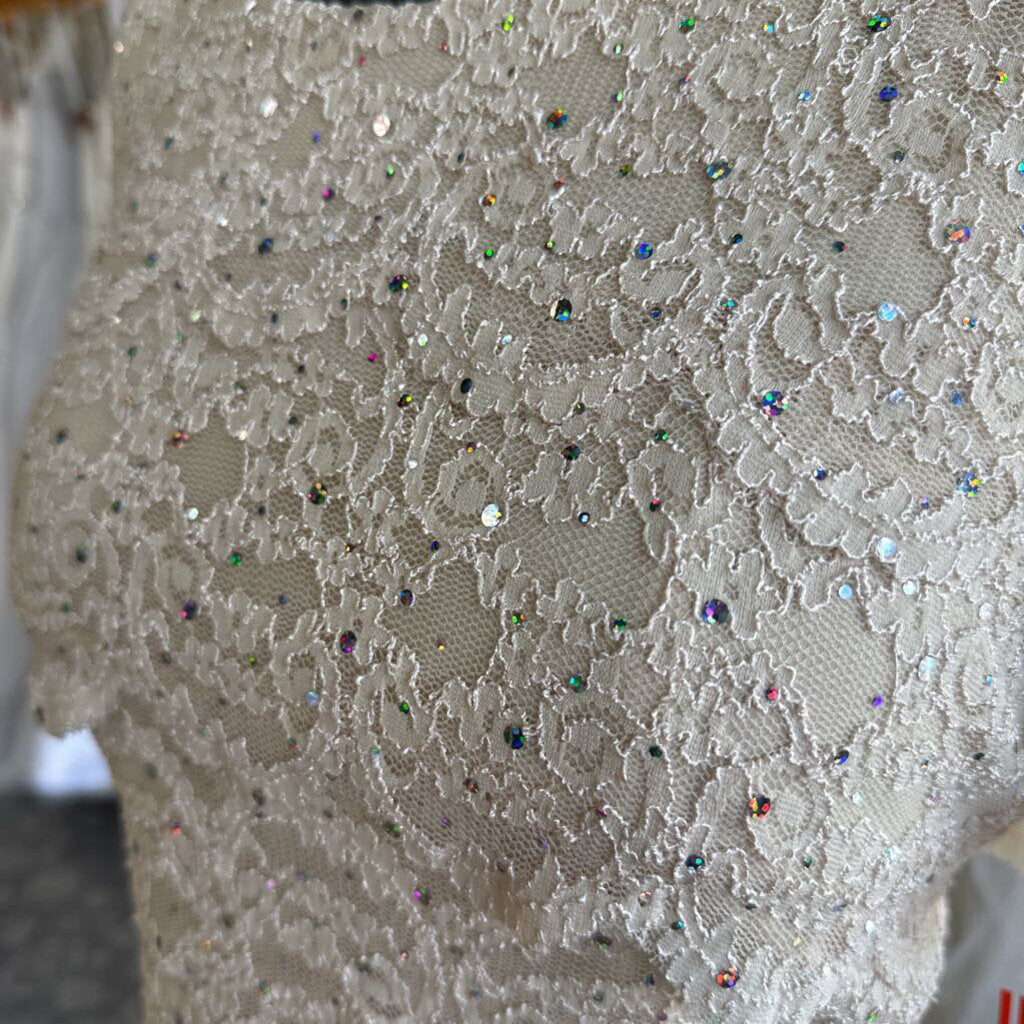 R&M Richards Short Sleeve Sparkle Lace Dress 14P