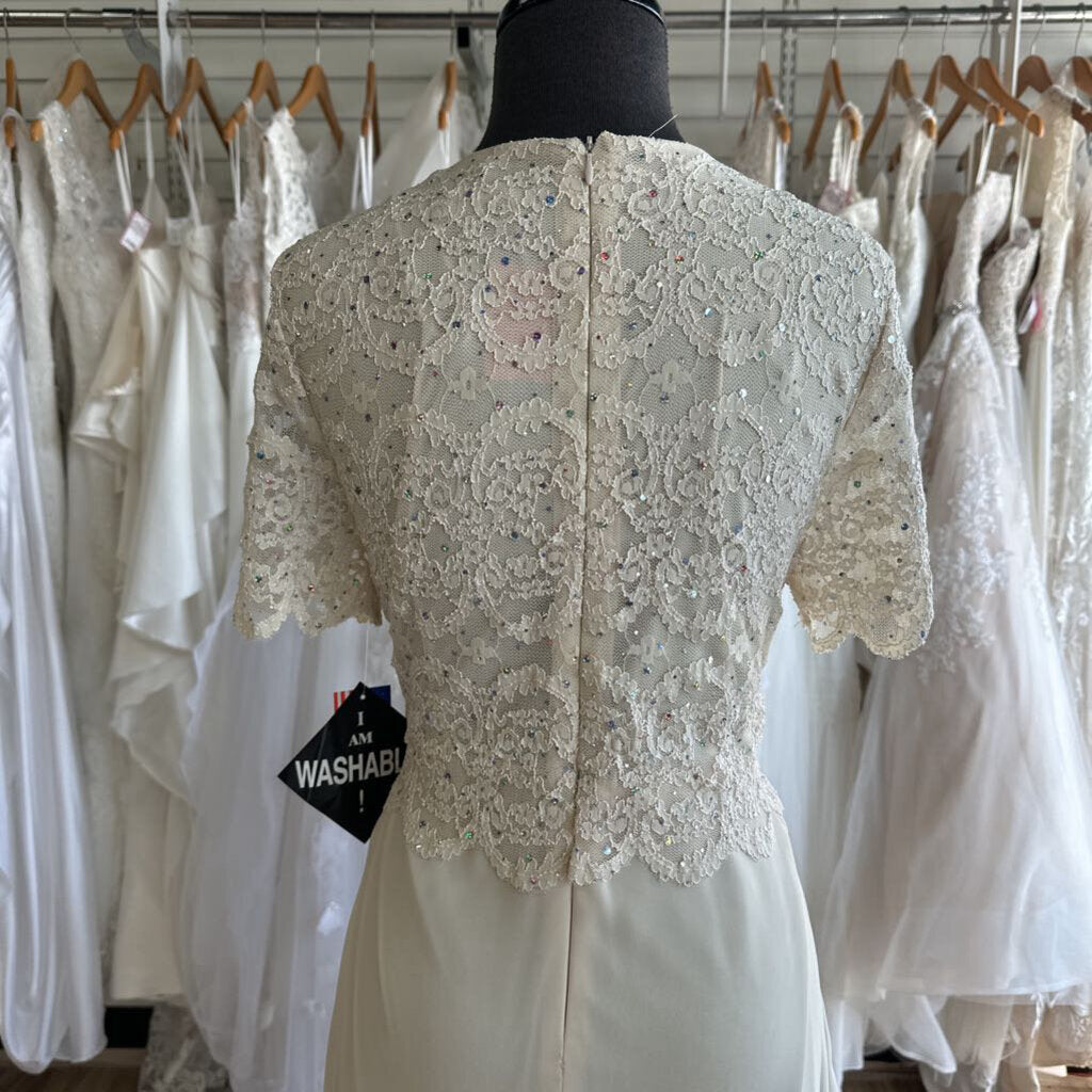 R&M Richards Short Sleeve Sparkle Lace Dress 14P