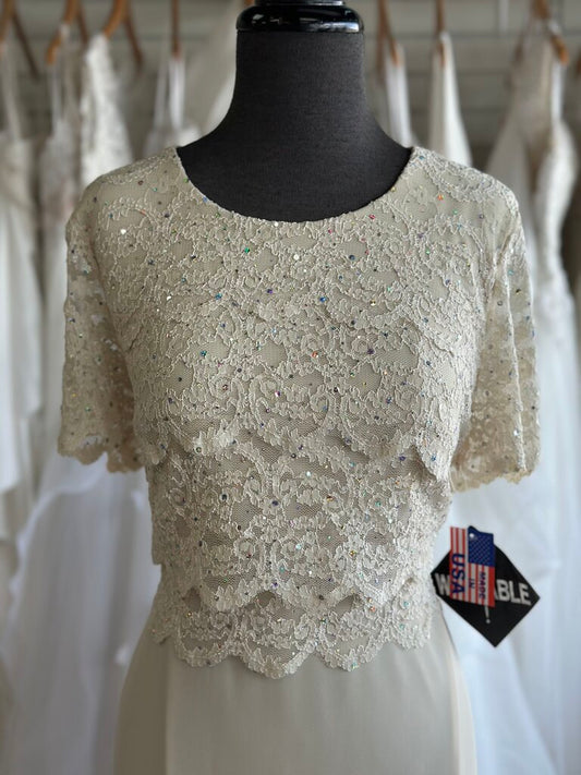 R&M Richards Short Sleeve Sparkle Lace Dress 10P