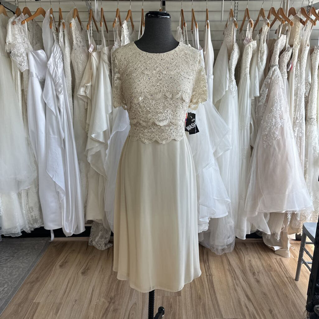 R&M Richards Short Sleeve Sparkle Lace Dress 10P