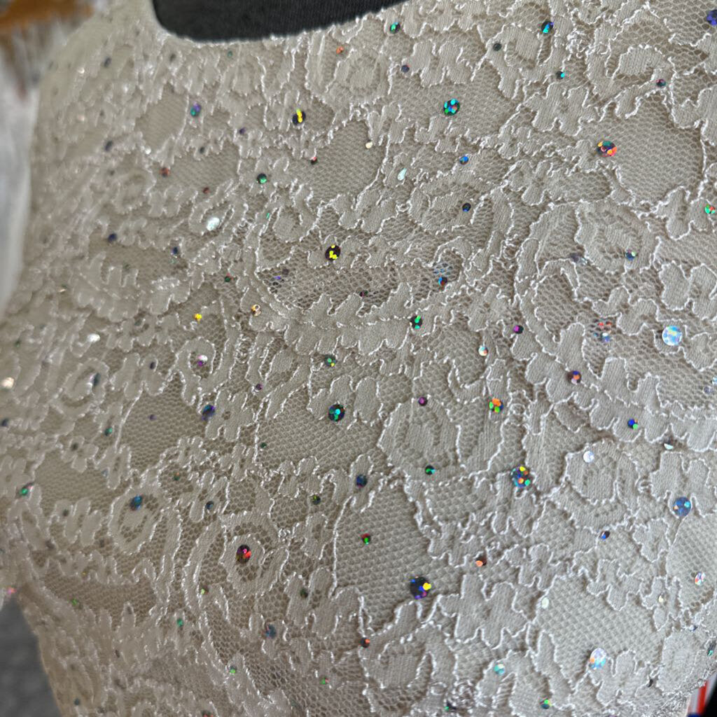 R&M Richards Short Sleeve Sparkle Lace Dress 10P