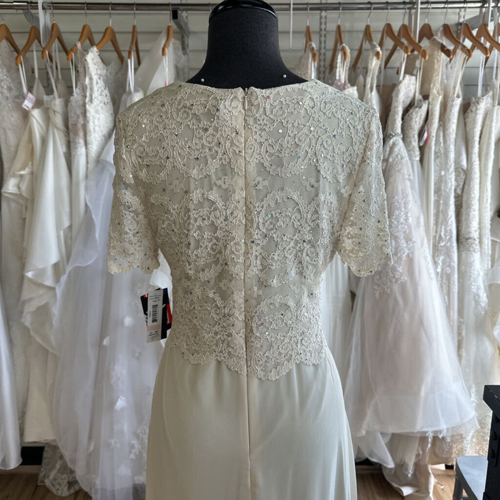 R&M Richards Short Sleeve Sparkle Lace Dress 10P