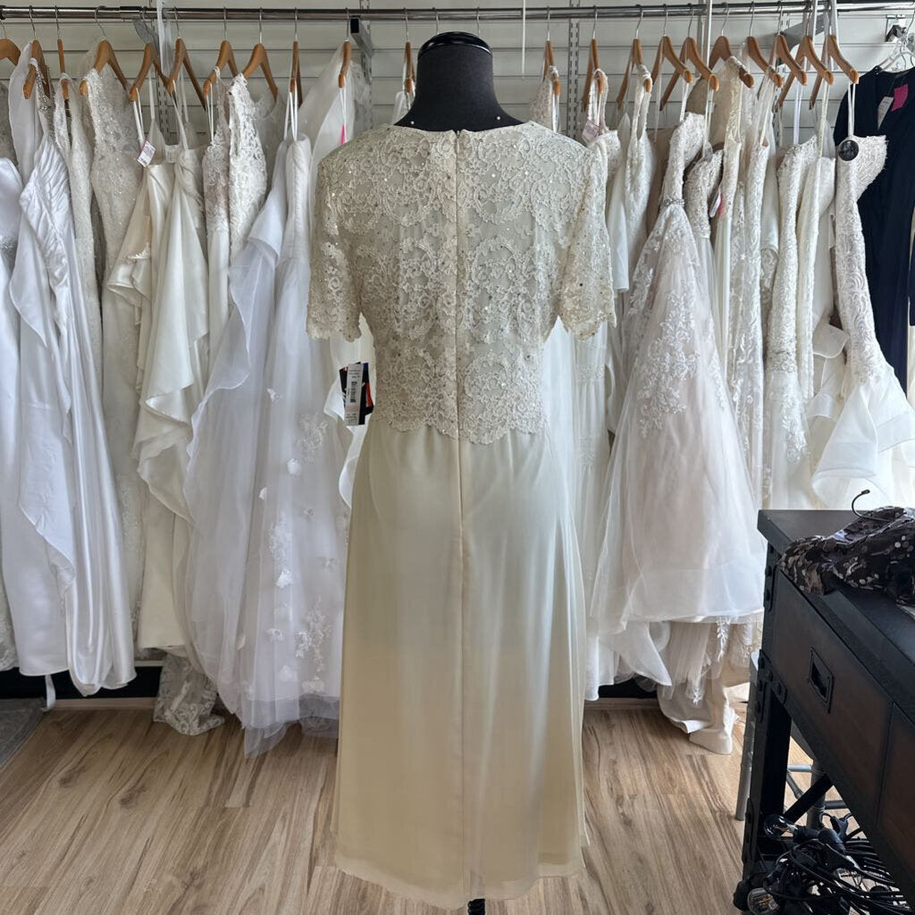R&M Richards Short Sleeve Sparkle Lace Dress 10P