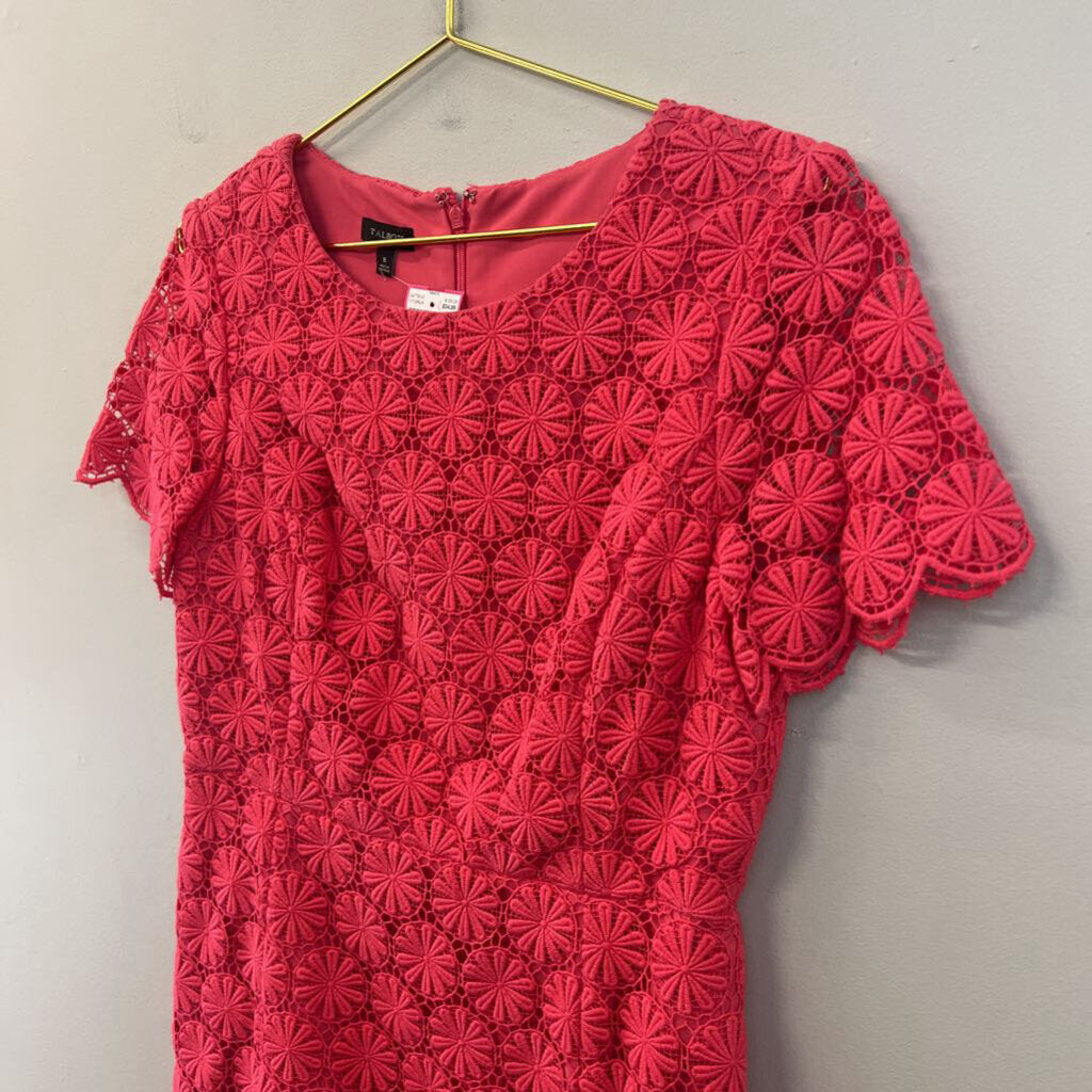 Talbots Pink Heavy Lace Short Sleeve Dress 8
