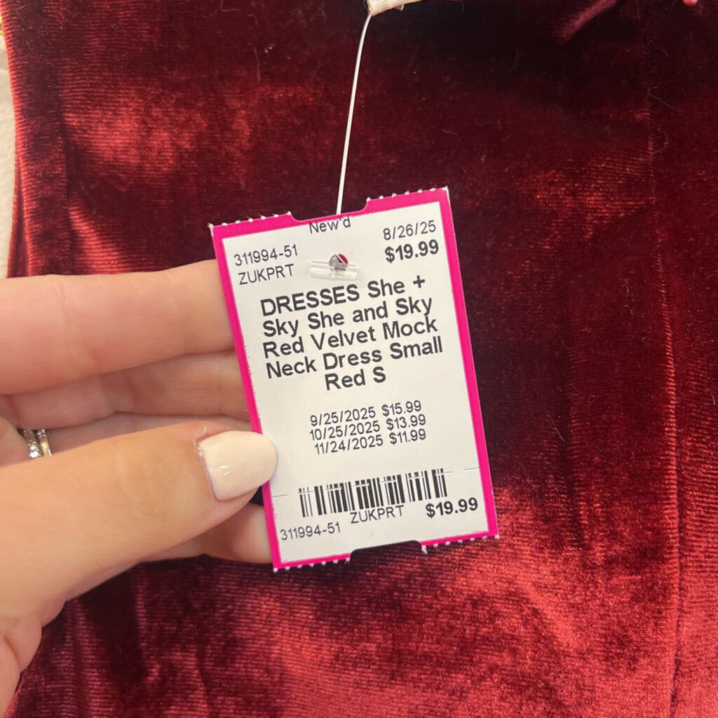 She and Sky Red Velvet Mock Neck Dress Small
