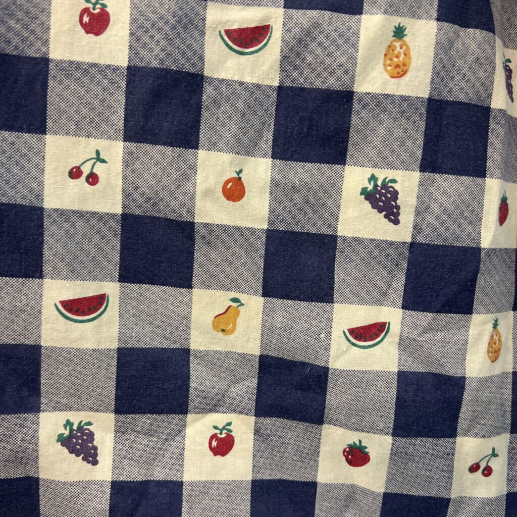 Vintage Allison Smith Blue/ White Checkered Fruit Short Sleeve Button Down Top Extra Large