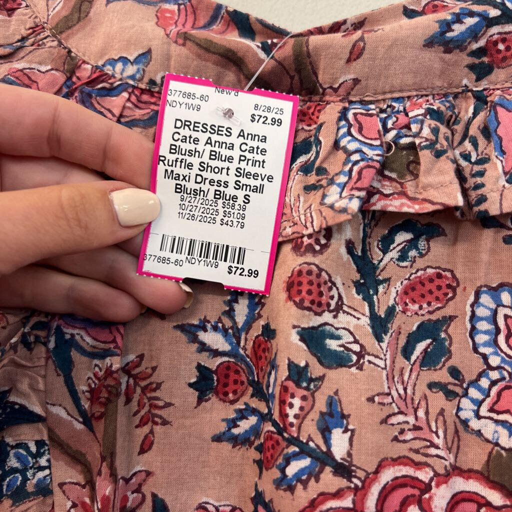 Anna Cate Blush/ Blue Print Ruffle Short Sleeve Maxi Dress Small