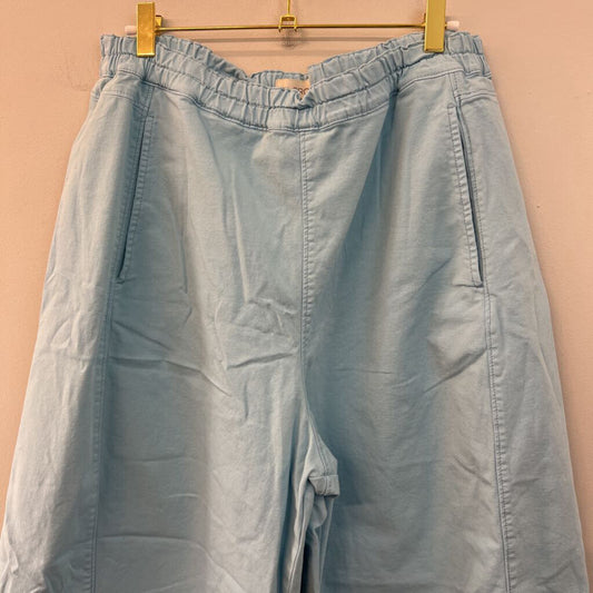 Pilcro Blue Pull On Cropped Barrel Pants Large