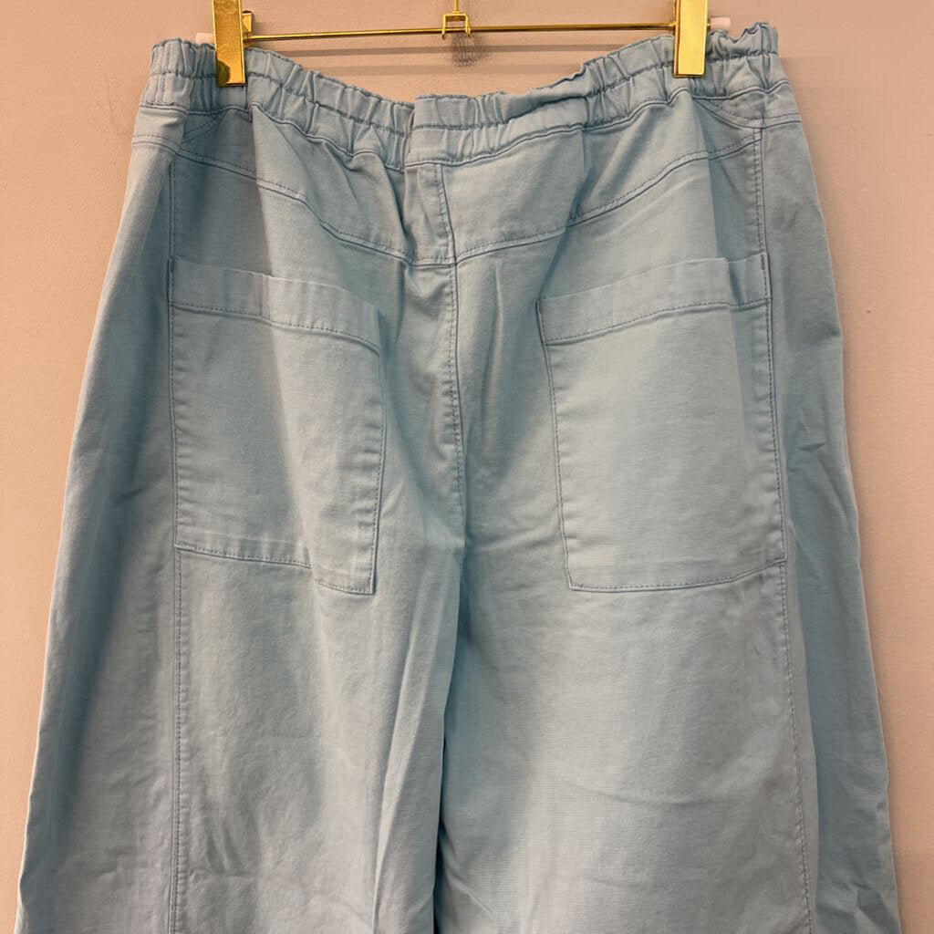 Pilcro Blue Pull On Cropped Barrel Pants Large