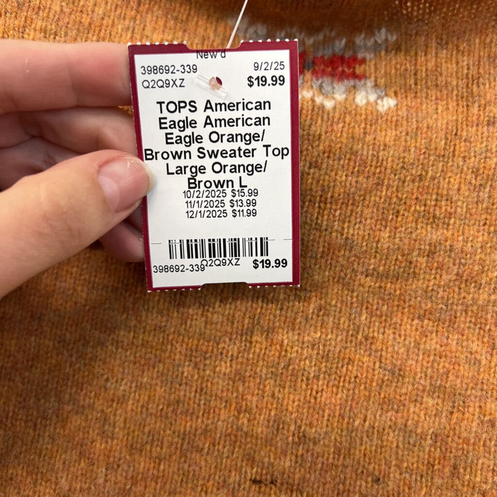 American Eagle Orange/ Brown Sweater Top Large