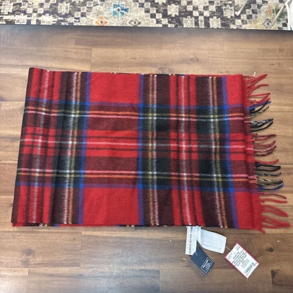 Abercrombie and Fitch Red/ Multi Plaid Scarf