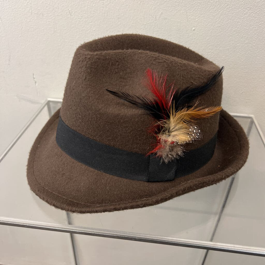 Brown Felt Fedora Hat