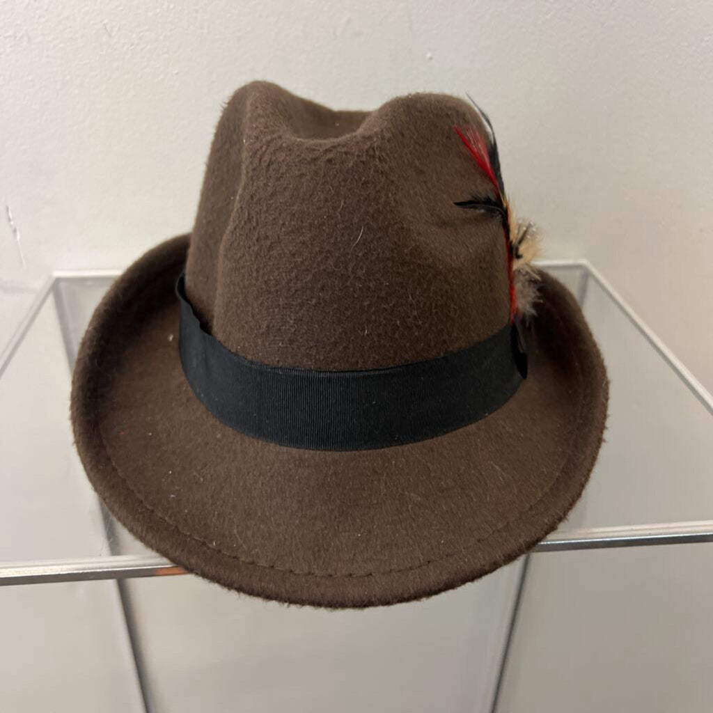 Brown Felt Fedora Hat