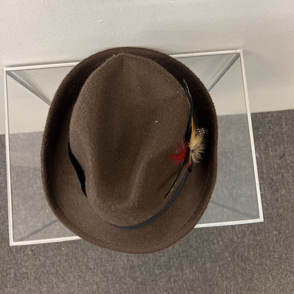Brown Felt Fedora Hat