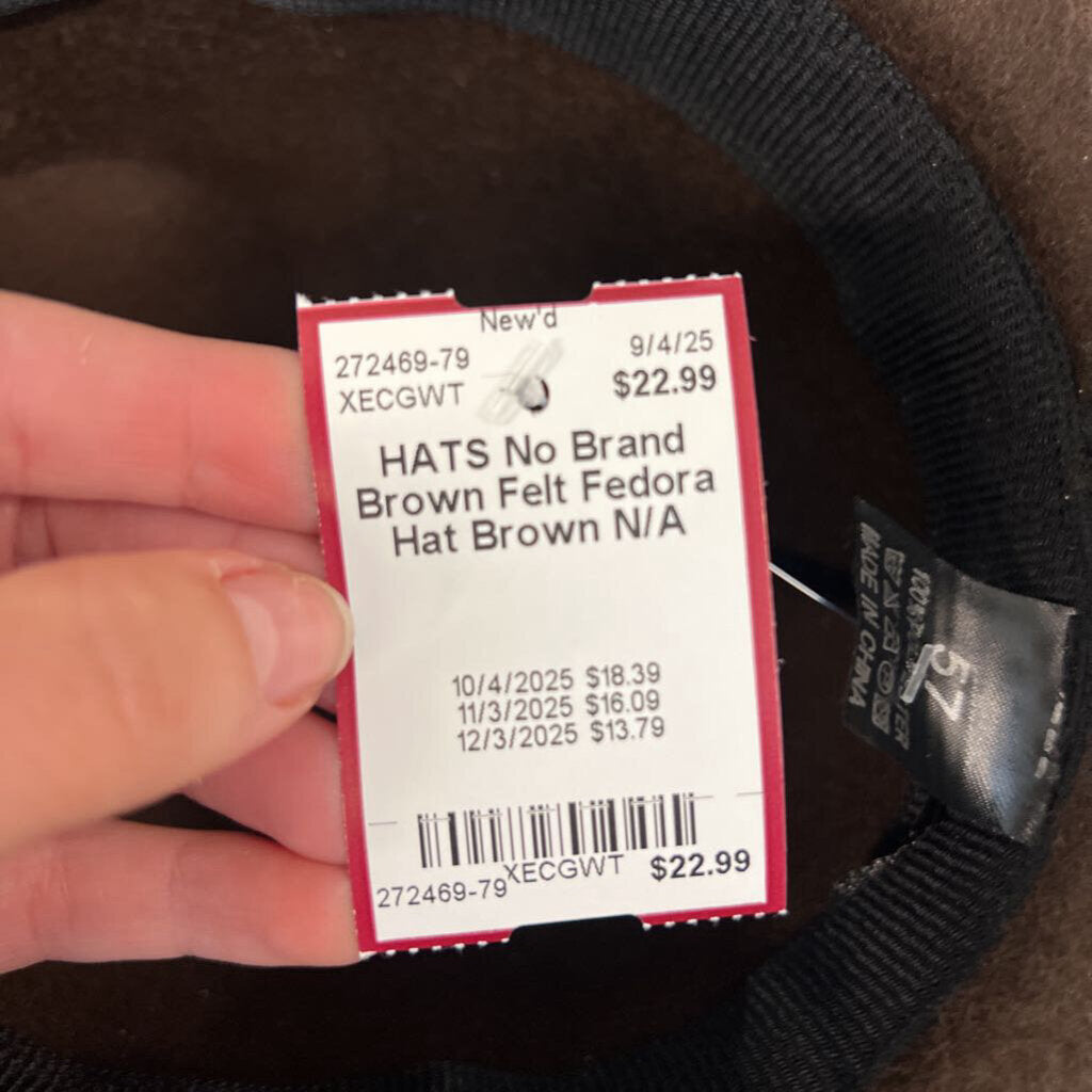Brown Felt Fedora Hat