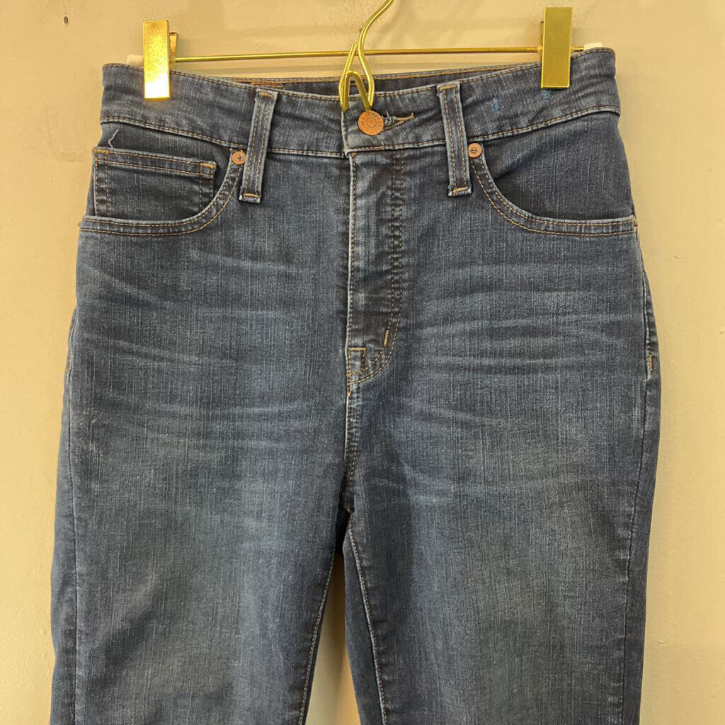 Madewell Dark Wash Curvy High Rise Skinny Leg Jeans 26