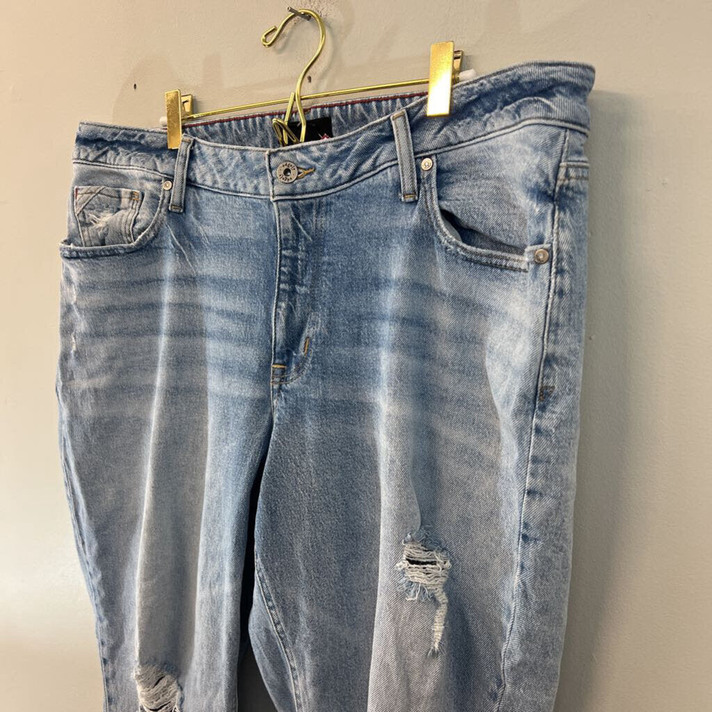 Edgely Light Wash Distressed Straight Leg Jeans 18W Short