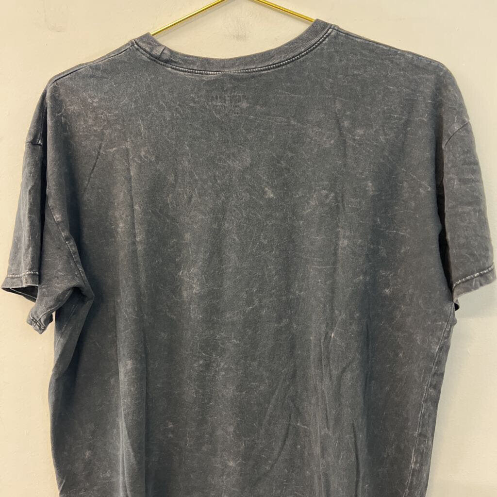 Hollister Grey Wild and Free Short Sleeve Graphic Tee Small