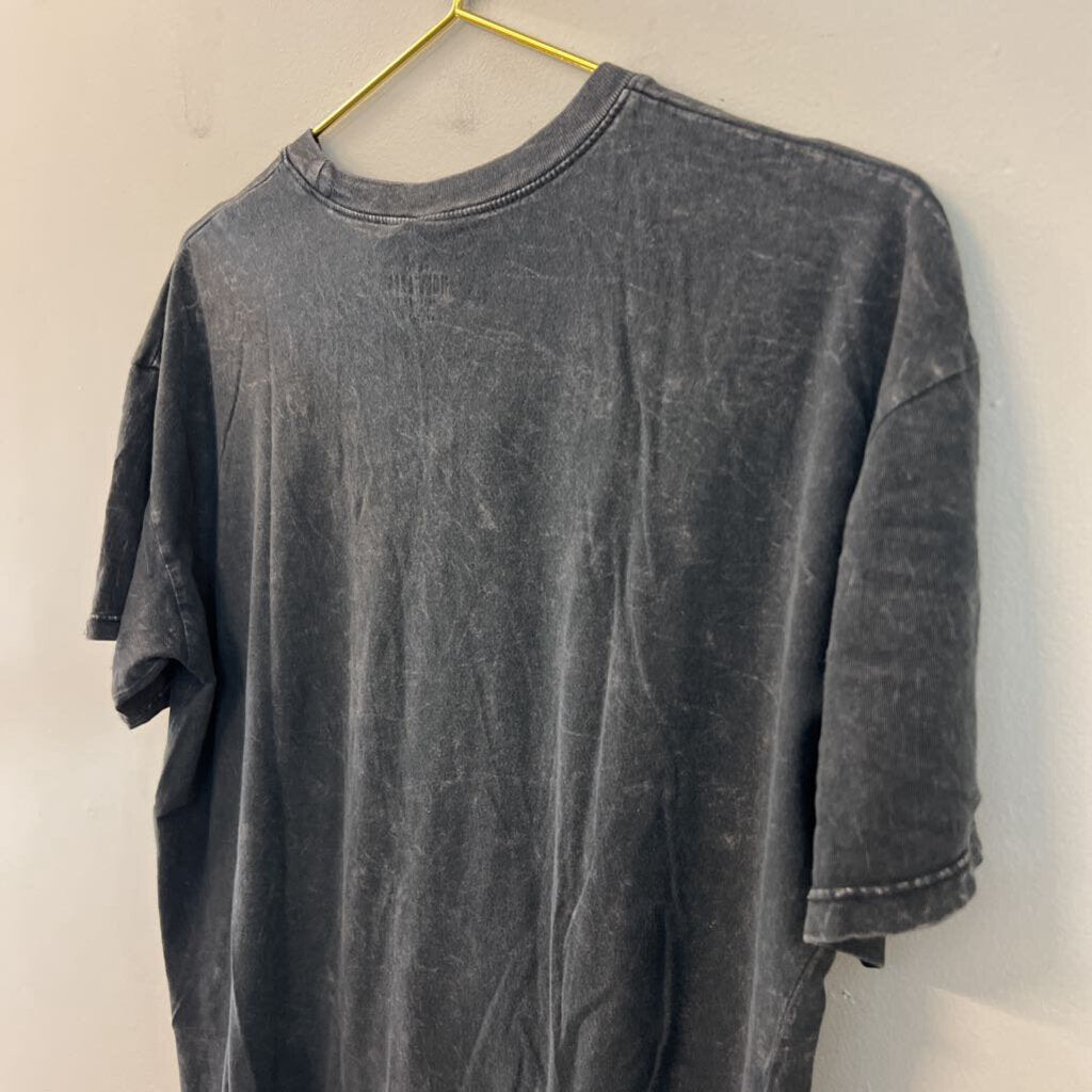 Hollister Grey Wild and Free Short Sleeve Graphic Tee Small