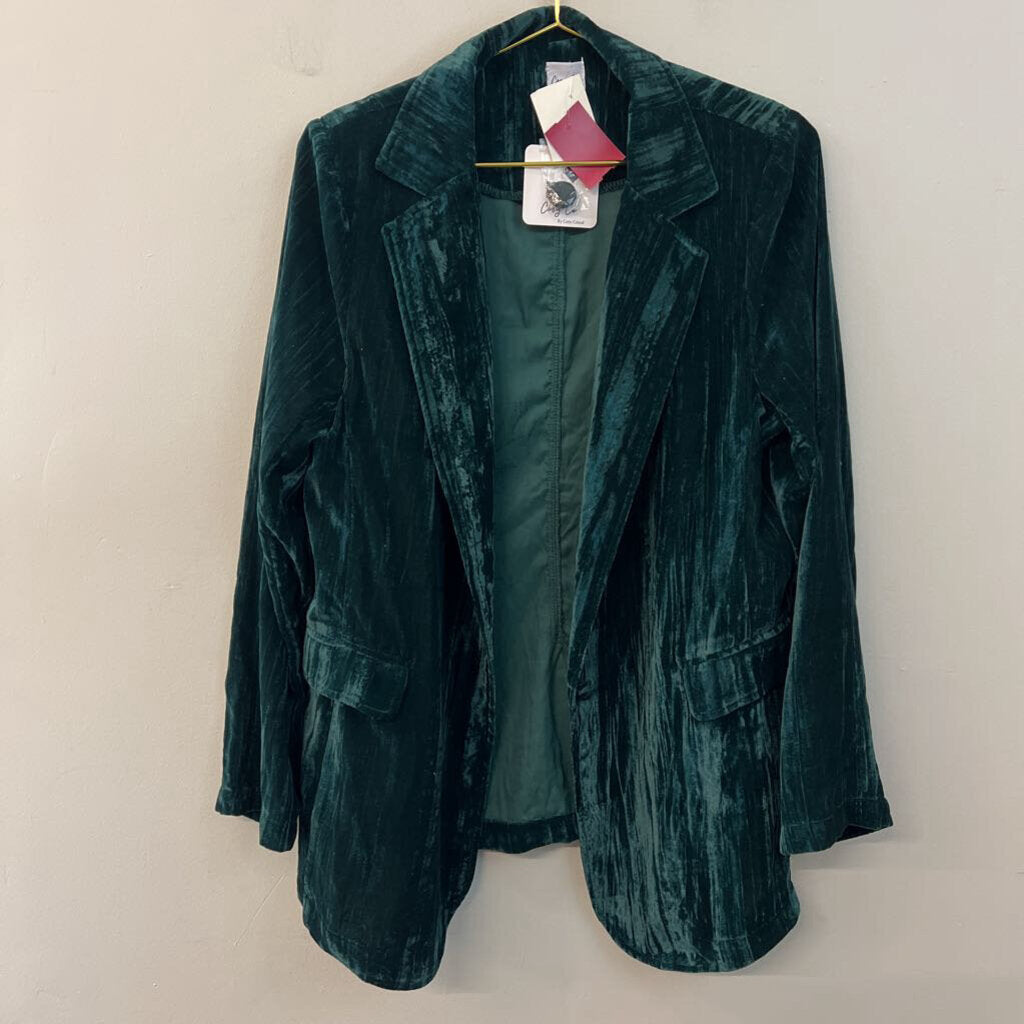 Cozy Co Green Velvet Long Sleeve Button Down Top Large