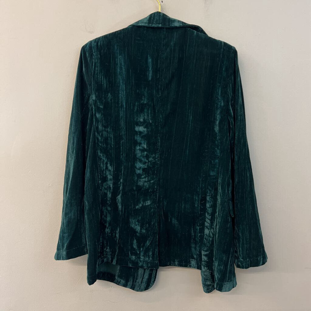Cozy Co Green Velvet Long Sleeve Button Down Top Large