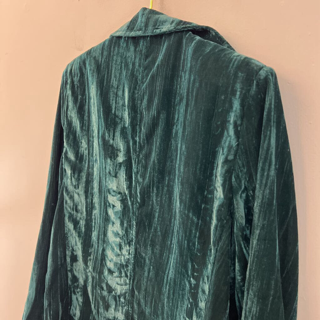Cozy Co Green Velvet Long Sleeve Button Down Top Large