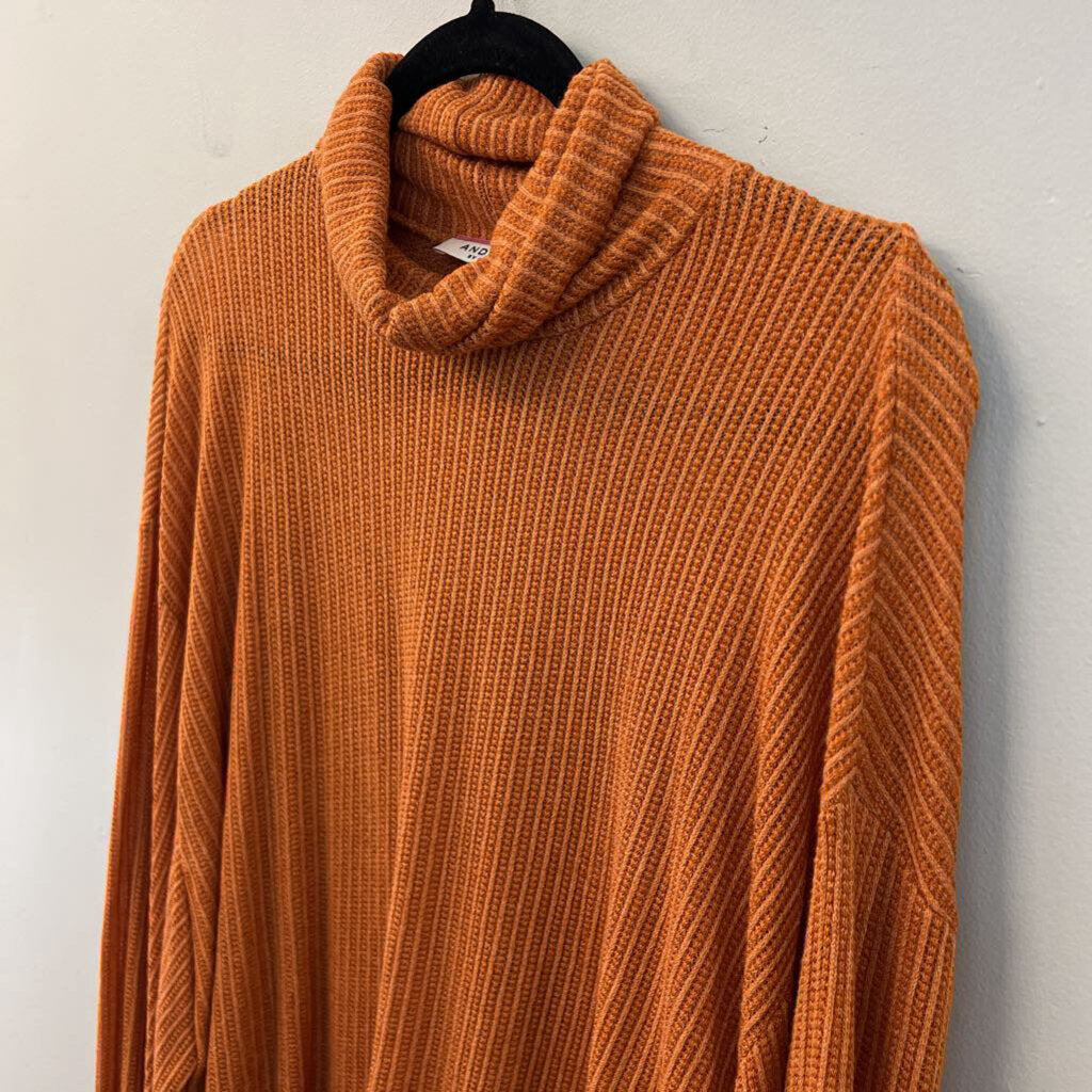 Andree Orange Knit Long Sleeve Turtleneck Sweater Large