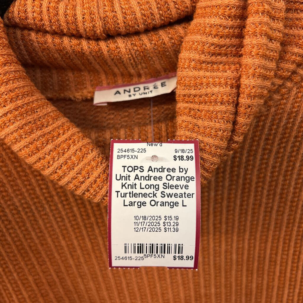 Andree Orange Knit Long Sleeve Turtleneck Sweater Large