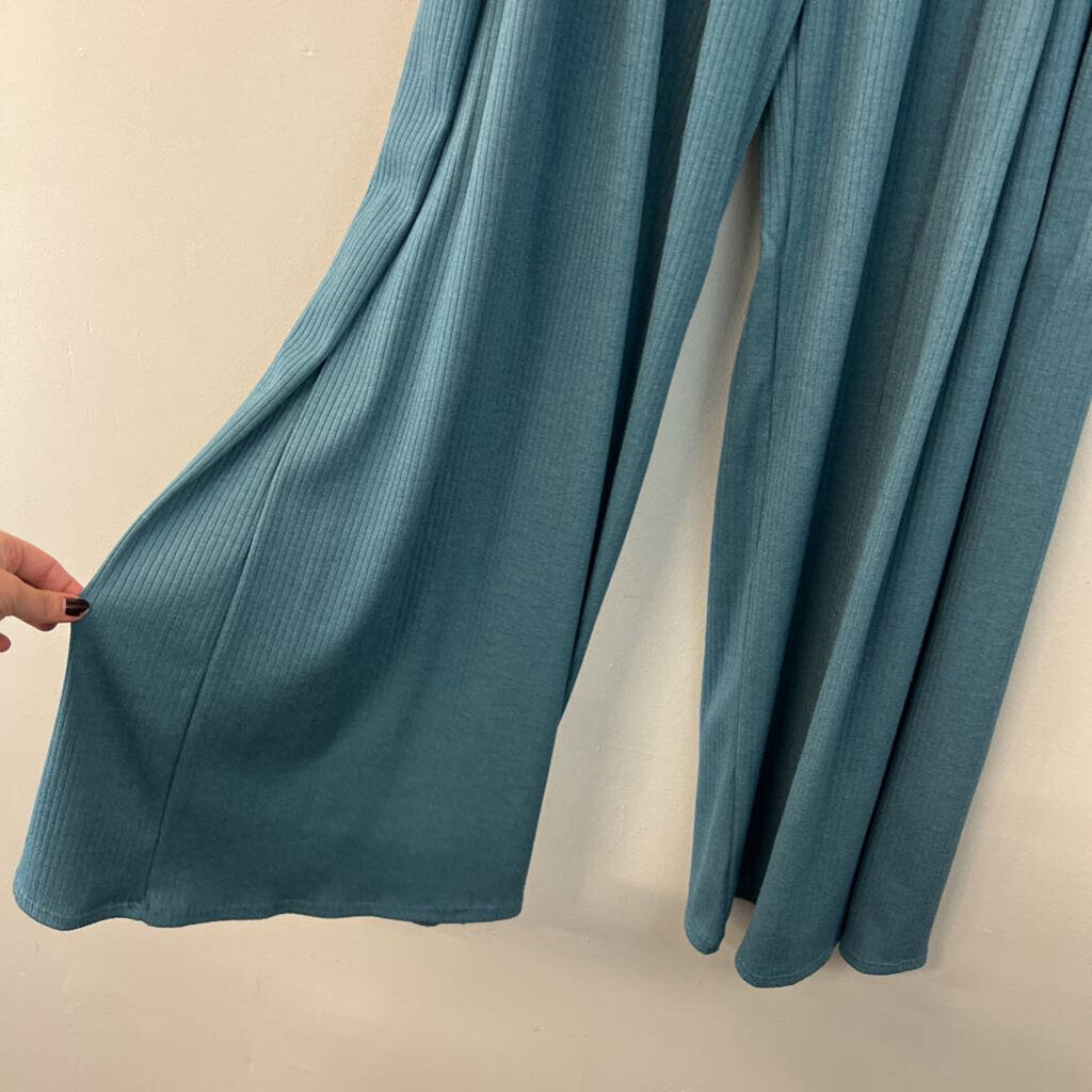 Jade by Jane Blue Wide Leg Pull On Pants 1X