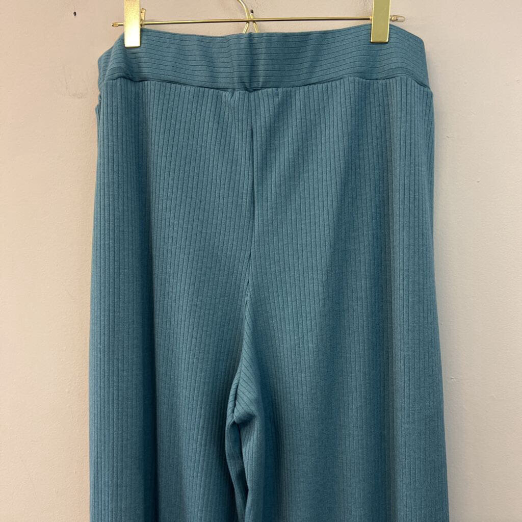 Jade by Jane Blue Wide Leg Pull On Pants 1X