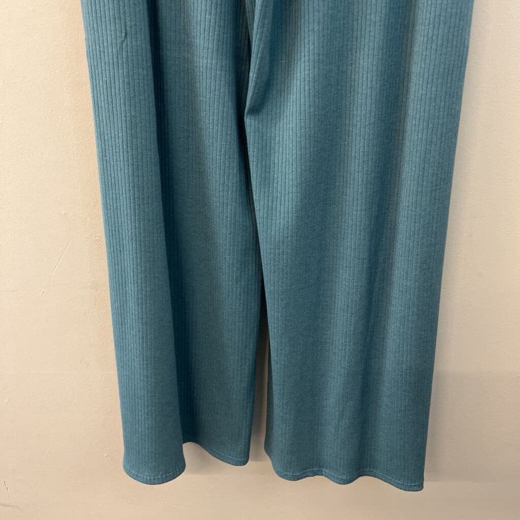 Jade by Jane Blue Wide Leg Pull On Pants 1X