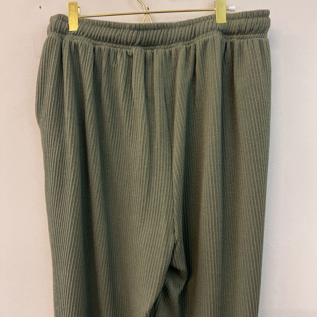 White Birch Green Textured Pull On Jogger Pants 2X