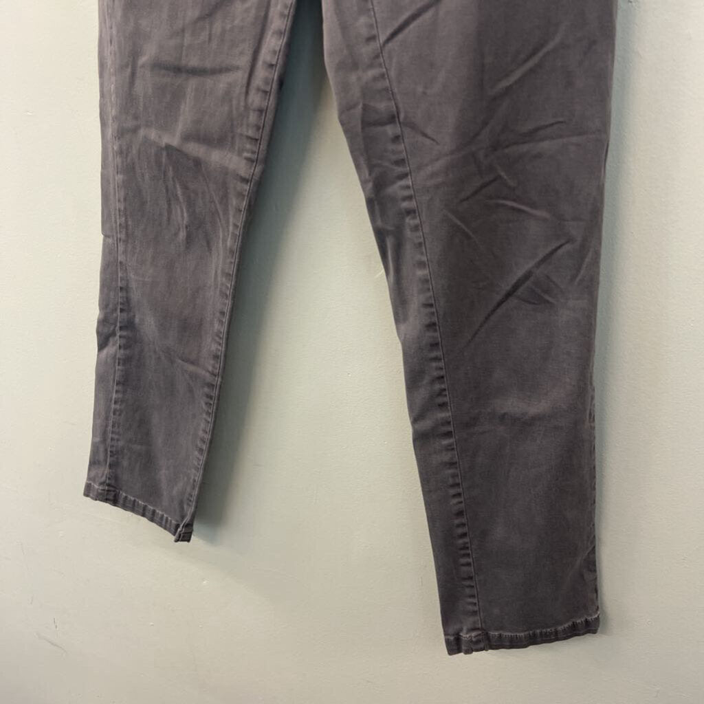 Chino by Anthropologie Grey Relaxed Fit Pants 27