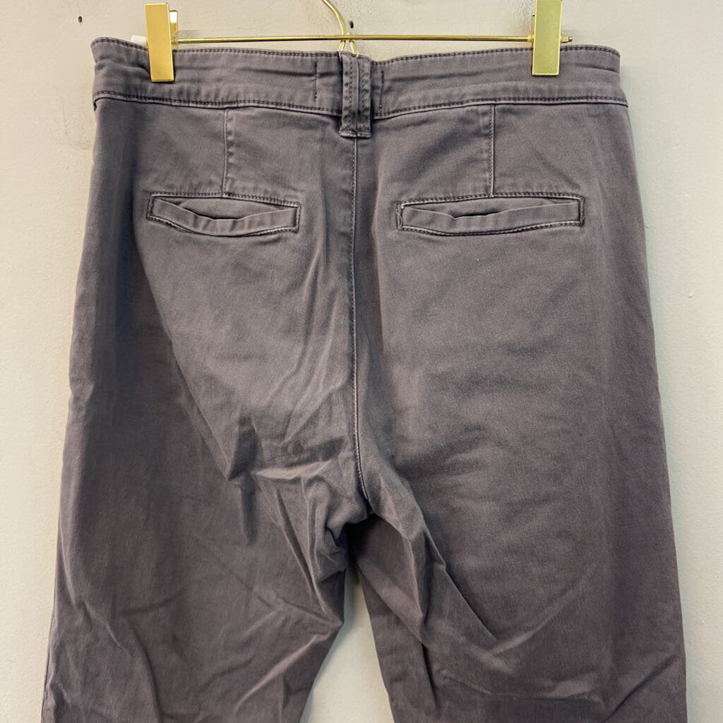 Chino by Anthropologie Grey Relaxed Fit Pants 27
