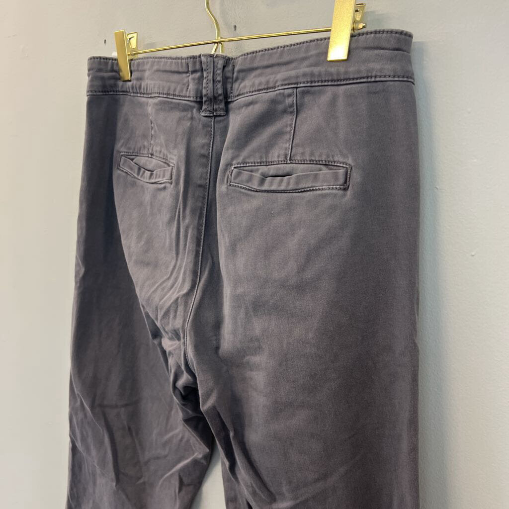 Chino by Anthropologie Grey Relaxed Fit Pants 27